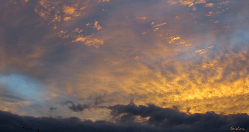 Golden Glow