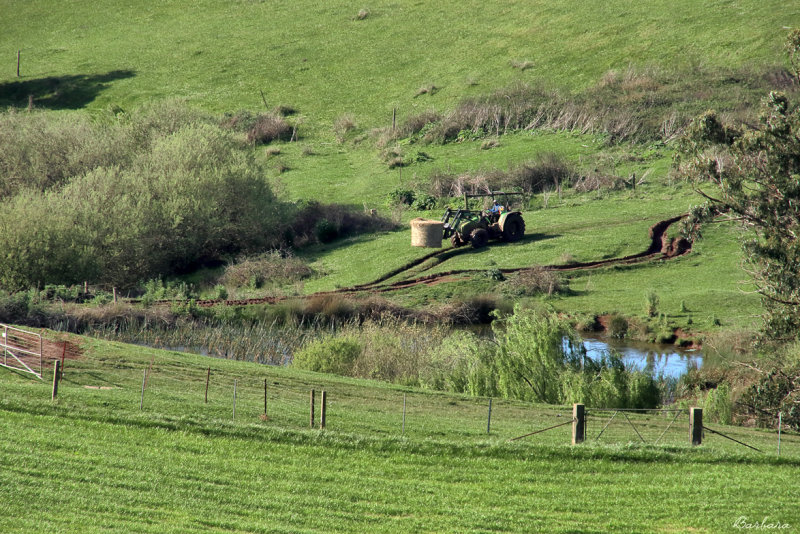 Farmer at Work