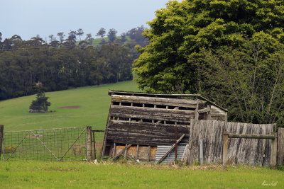 Gippsland farmland