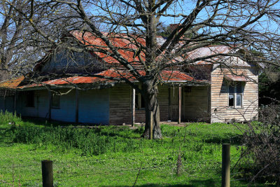 Old Homestead