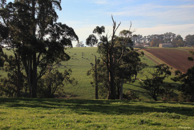 Farmland - Warragul South