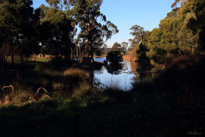 Lardner Track Lake