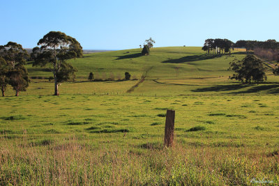 Ripplebrook