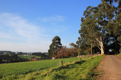 Country Road