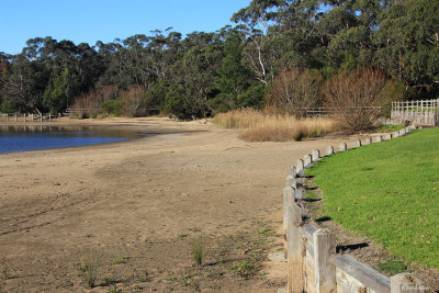 Forshore at Lake Narracan