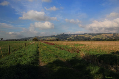 Farmland Cloverlea