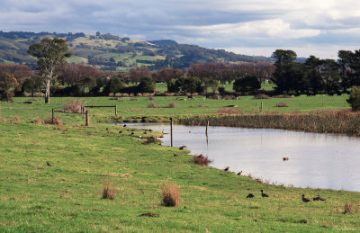 Country property dam