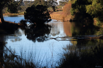 Lardner Track Lake