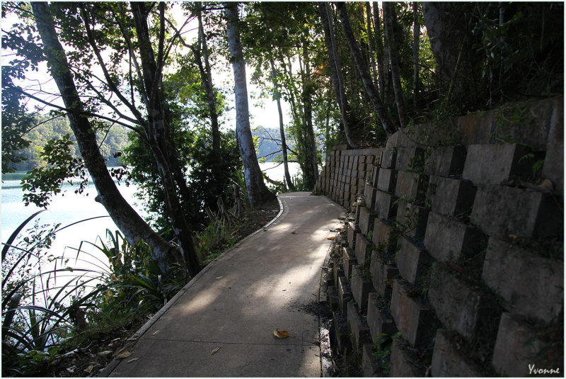 Pathway around the lake