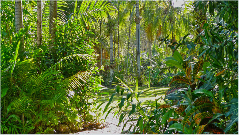 Luxurious Tropical Gardens
