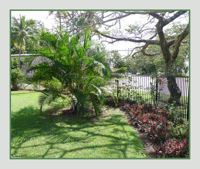 Along the Garden Fence