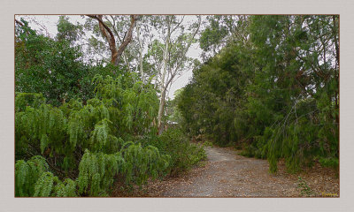 Pathway from the round yard.