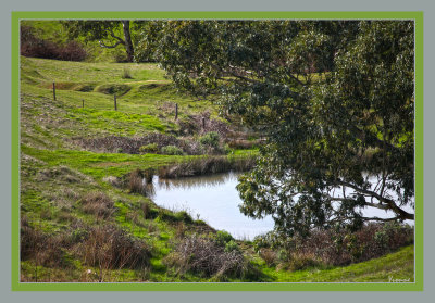 The small dam from next door.