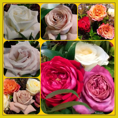 Bouquet Collage of Florist Roses
