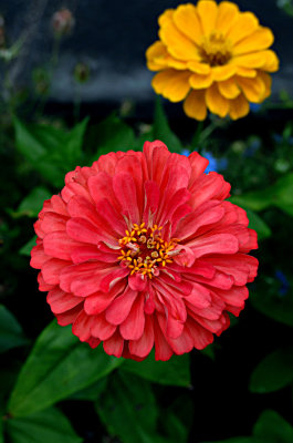 g12/50/1174650/3/169475243.JGAsMKDg.jpg