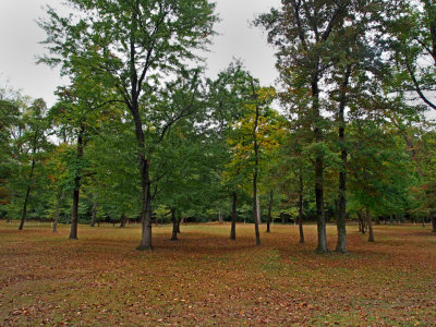 g12/50/1174650/3/169864163.IMp29Dnx.jpg
