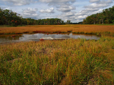 Rough Meadows Wildlife Sanctuary
