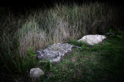 g12/50/1174650/3/170650129.wxfycWTk.jpg