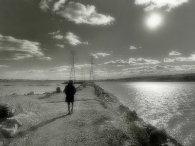 g12/50/1174650/3/171308718.yVBqQP6F.jpg