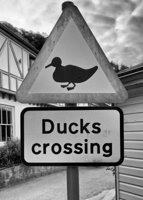 Traffic Sign 