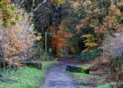 Entering the Clough