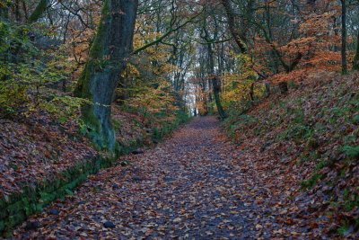 Leaving the Clough
