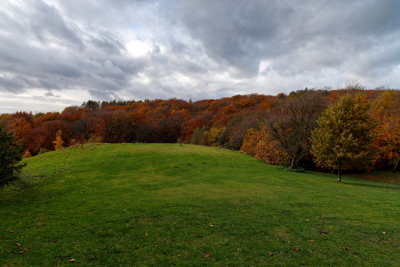 Woodland at Tandle Hills