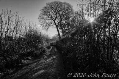A glimpse of the sun from Jowkin Lane.