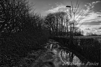 Puddles in the Lane