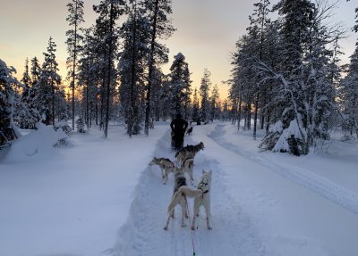 g12/50/262650/3/170371393.dPExIfui.jpg