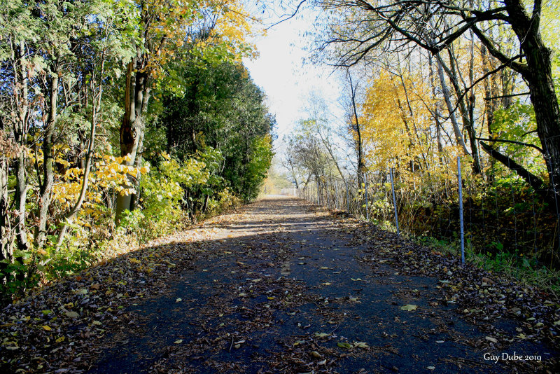 Small trail