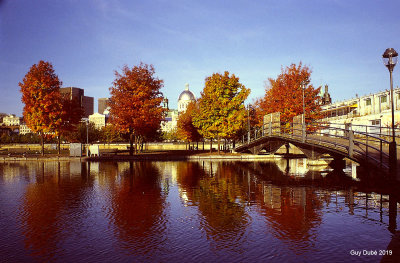 Couleurs d'automne au Vieux-Port