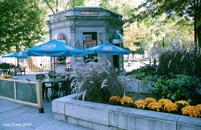 La Crmire au Parc Lafontaine