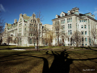 The McGill Campus