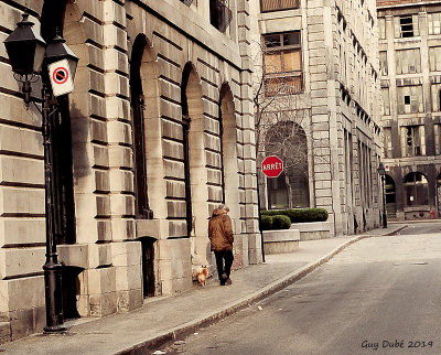 La promenade journalire