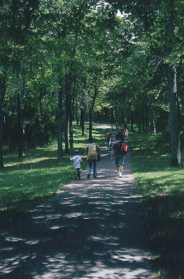 Sentier sur le Mt-Royal