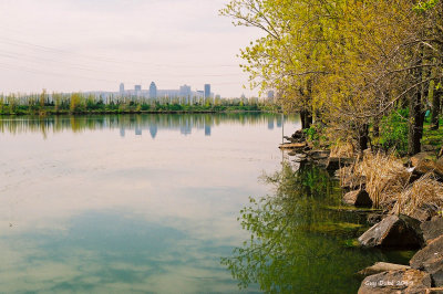 Sur le bord du fleuve