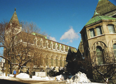 Universitee_McGill2.jpg