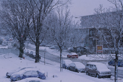 Tempete de neige Anjou