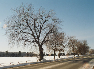 Route_pour_aller_a_l_Assomption.jpg