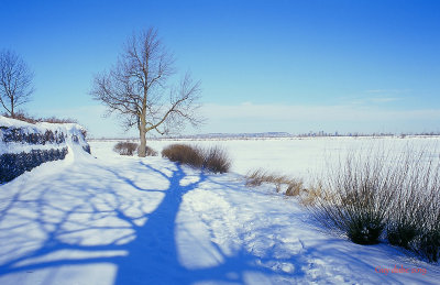 Paysage_hivernal.jpg