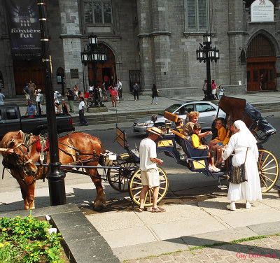 Calche dans le Vieux-Montral