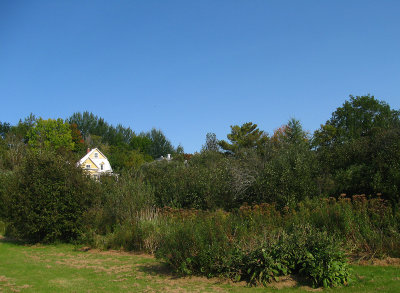 IMG_0468A.jpg