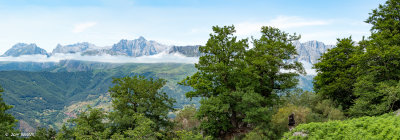 _OMD0261-Pano.jpg