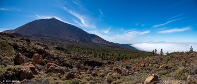 _OMD0063-Pano.jpg