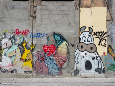 _OMD0356.jpg