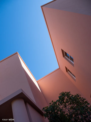 _OMD0439.jpg