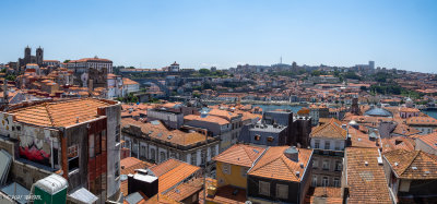 _OMD0738-Pano.jpg