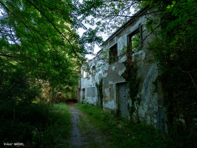 _OMD1120.jpg