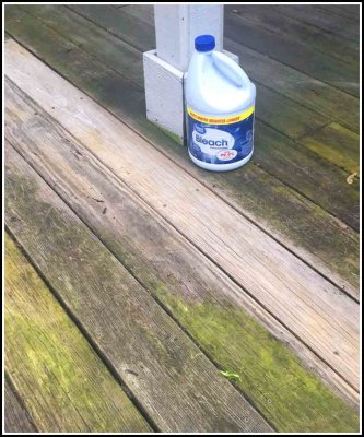 deck2.jpg